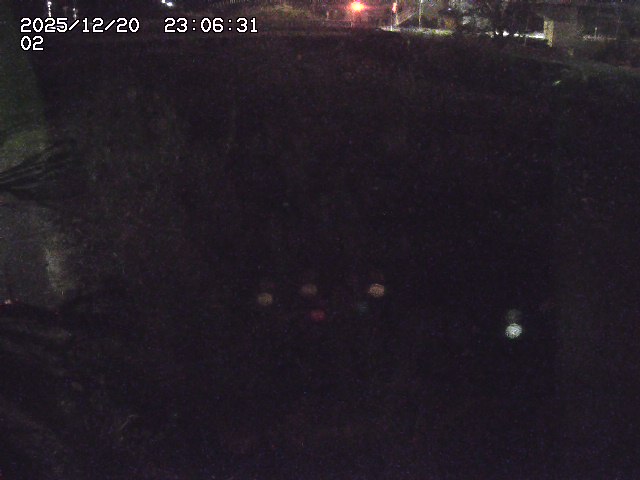 取得できませんでした