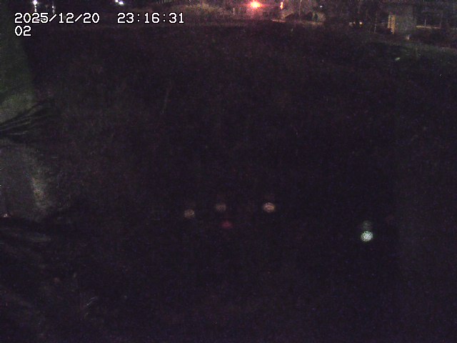 取得できませんでした