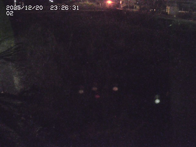 取得できませんでした