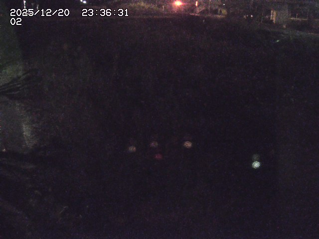 取得できませんでした