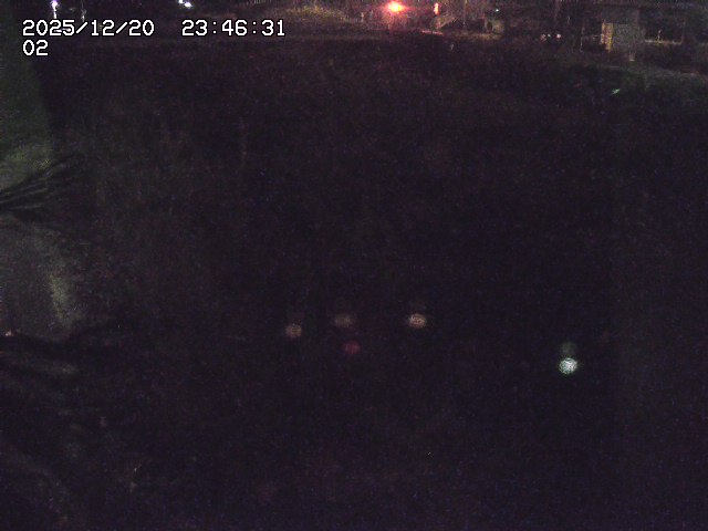 取得できませんでした