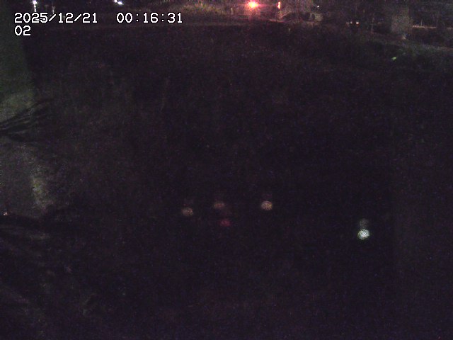 取得できませんでした