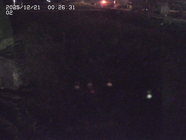 取得できませんでした