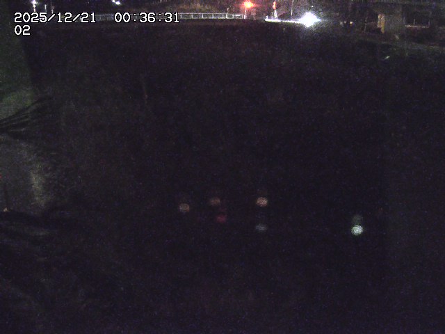 取得できませんでした