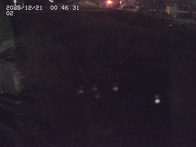 取得できませんでした