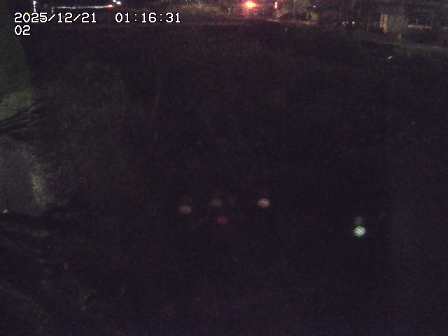 取得できませんでした