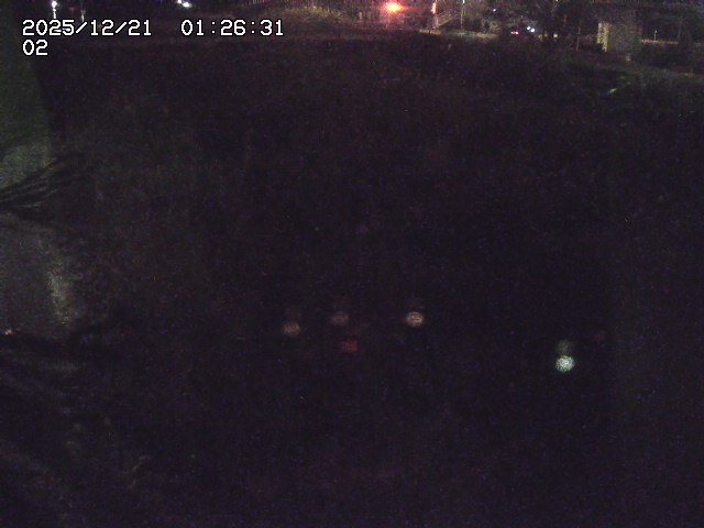 取得できませんでした