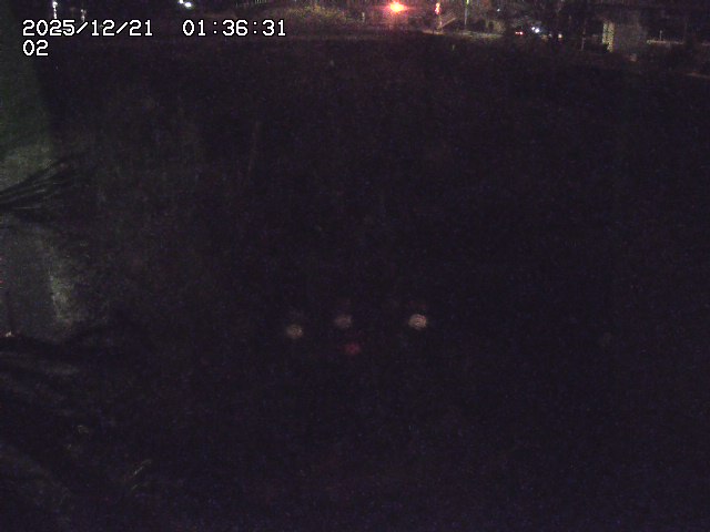 取得できませんでした