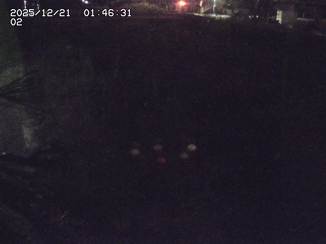 取得できませんでした