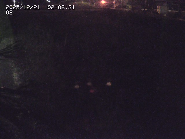 取得できませんでした