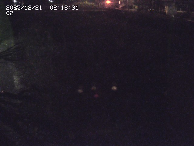 取得できませんでした