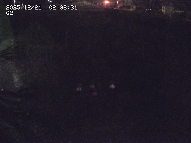 取得できませんでした