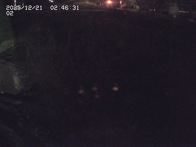 取得できませんでした