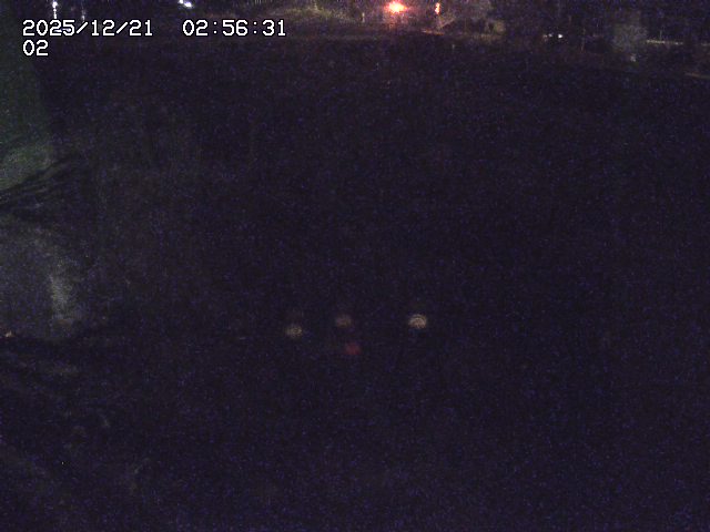 取得できませんでした