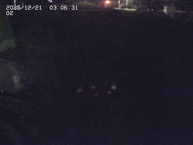 取得できませんでした