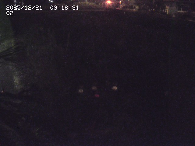 取得できませんでした