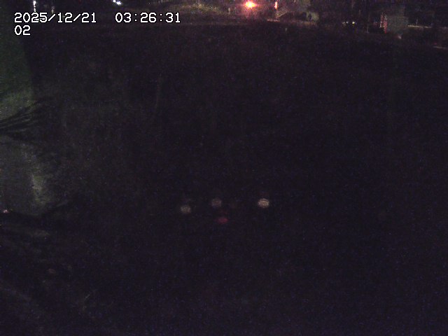 取得できませんでした