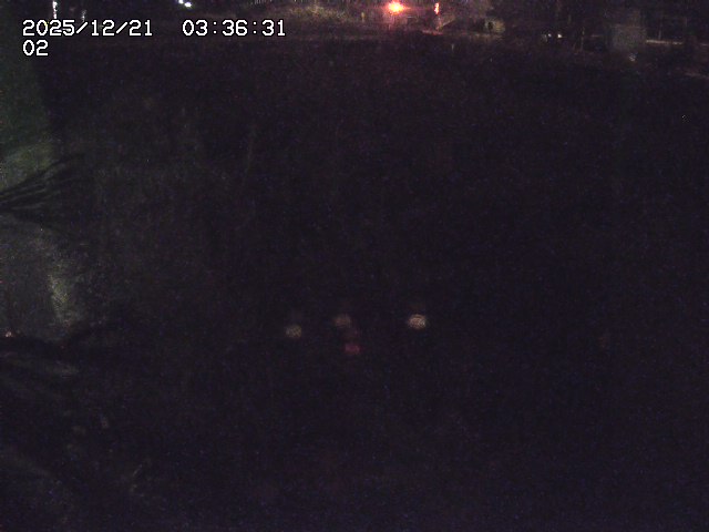 取得できませんでした