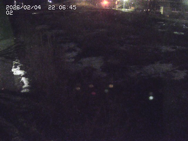 取得できませんでした