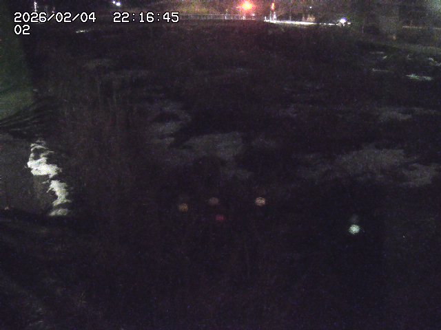 取得できませんでした