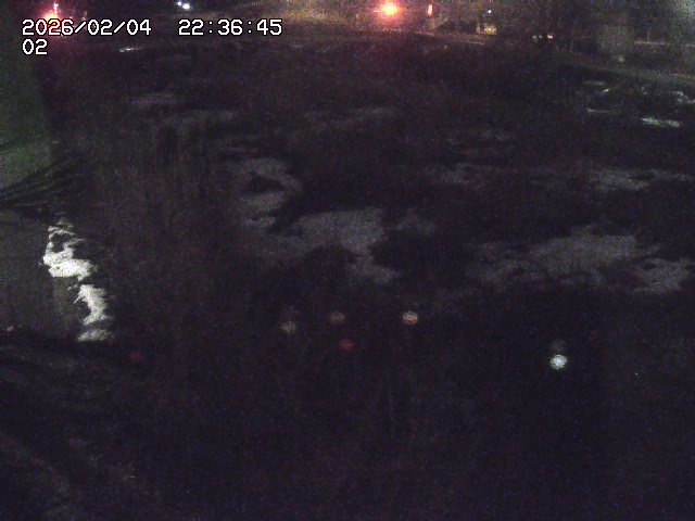 取得できませんでした