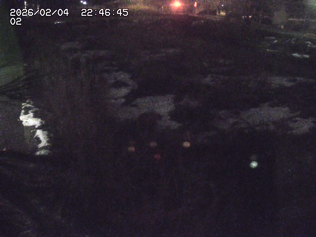 取得できませんでした