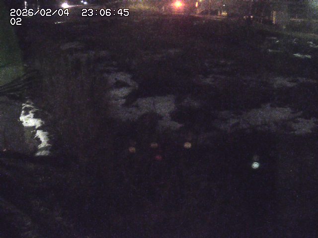 取得できませんでした