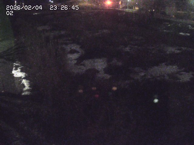 取得できませんでした