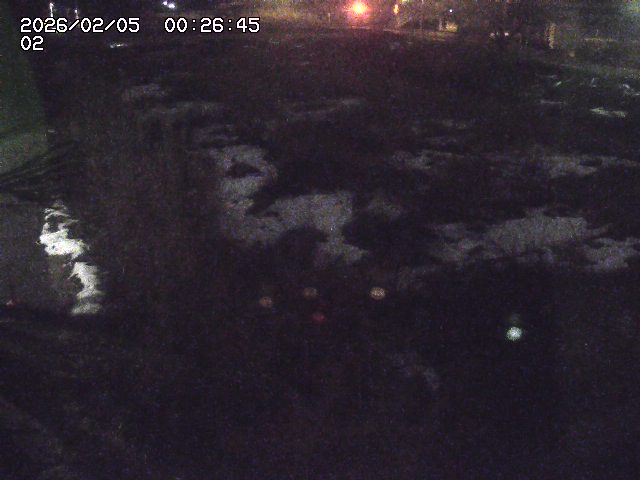 取得できませんでした