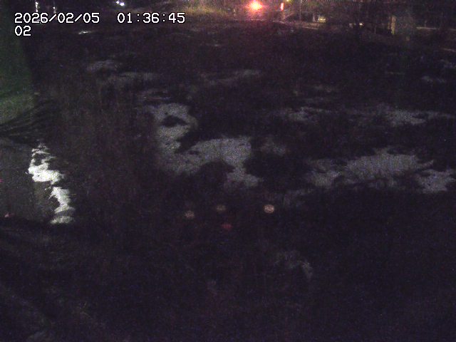 取得できませんでした