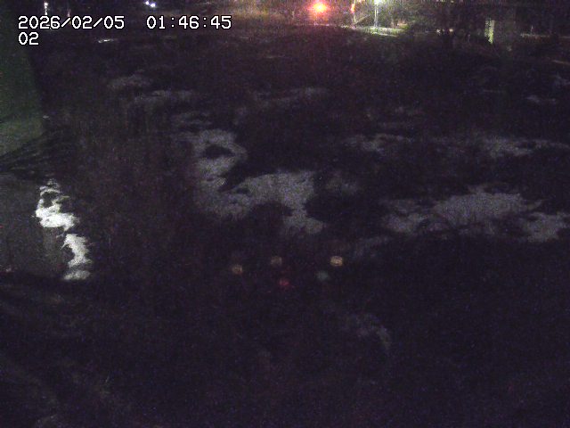 取得できませんでした