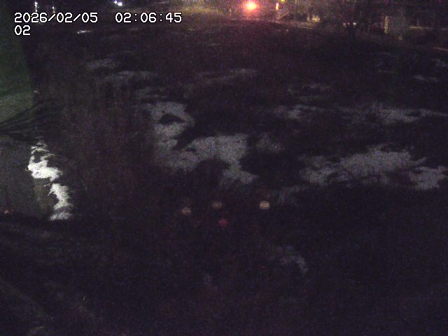 取得できませんでした