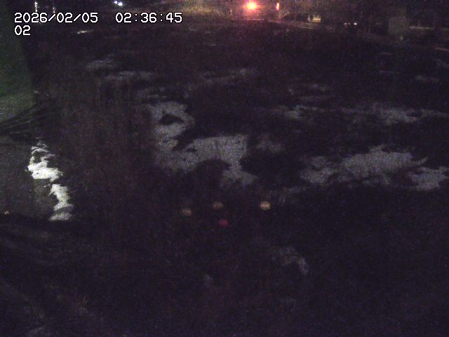 取得できませんでした