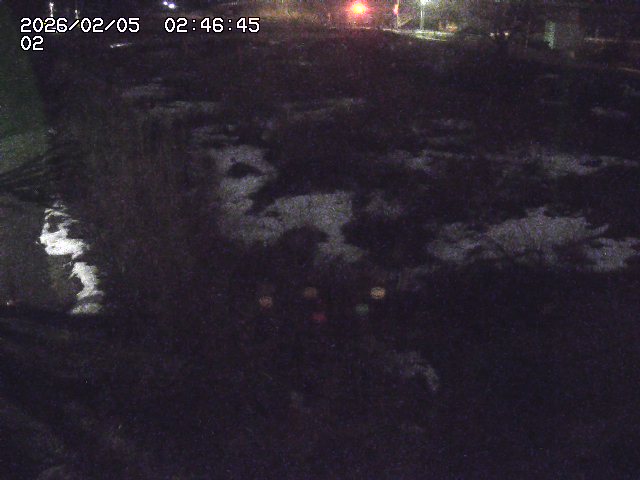 取得できませんでした