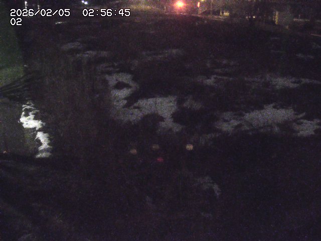 取得できませんでした