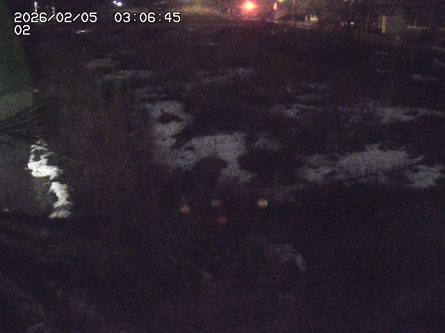 取得できませんでした