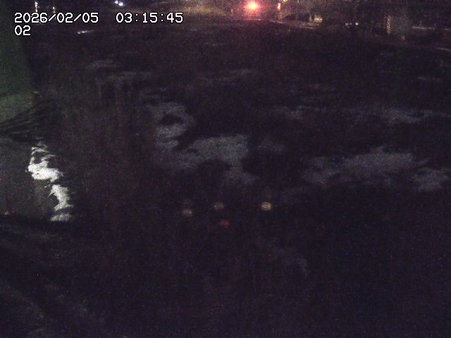 取得できませんでした