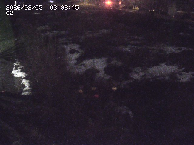 取得できませんでした