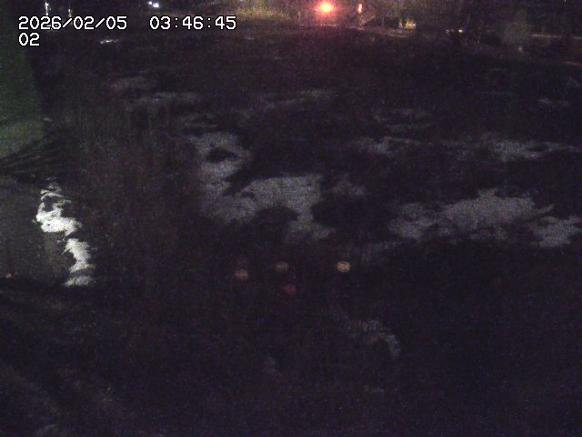 取得できませんでした