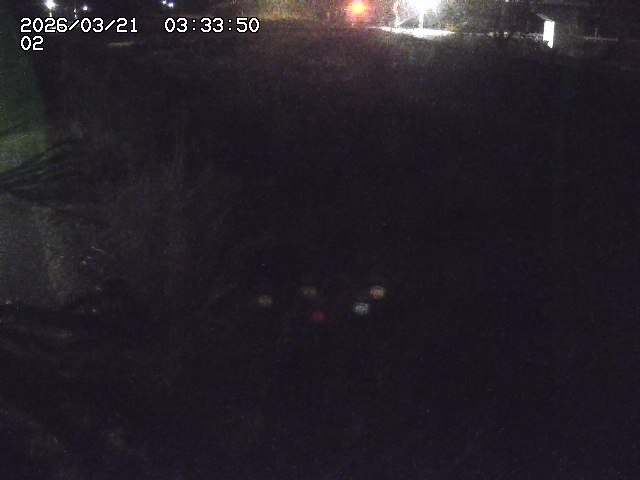 取得できませんでした