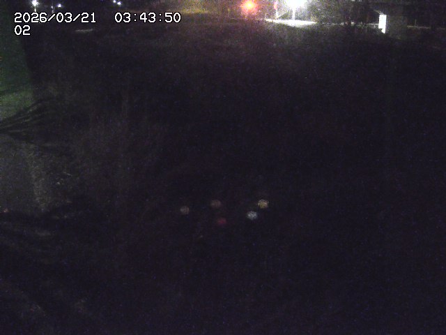 取得できませんでした