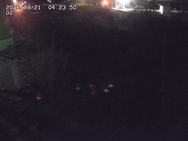 取得できませんでした