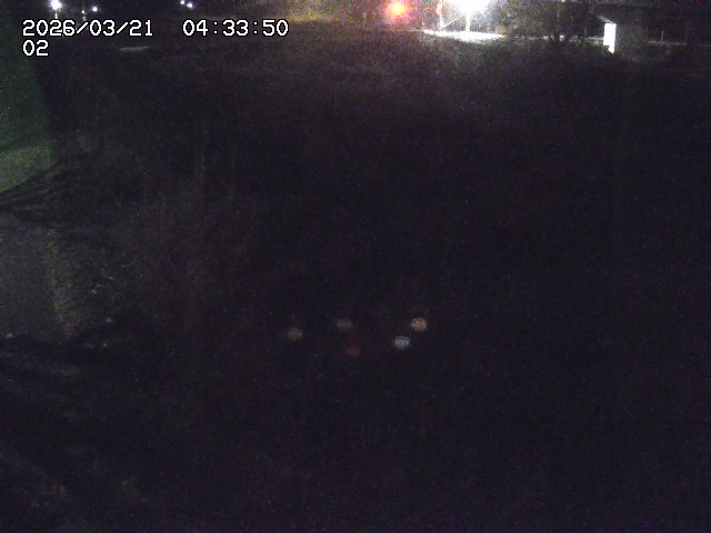 取得できませんでした