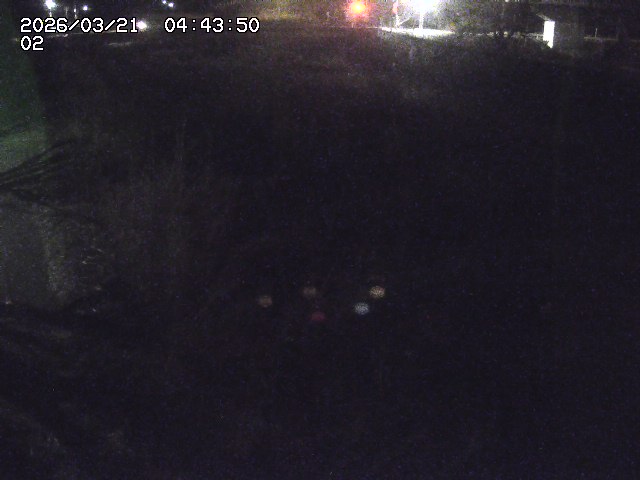 取得できませんでした