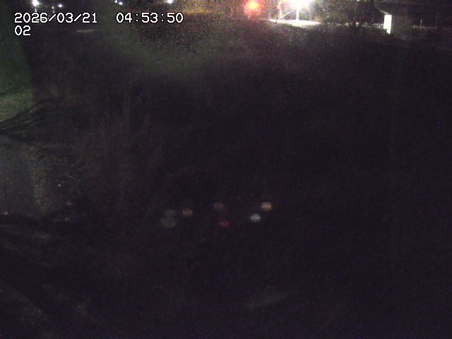 取得できませんでした