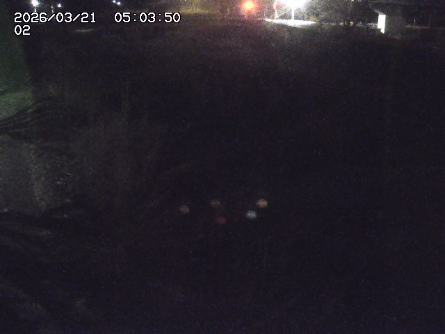 取得できませんでした