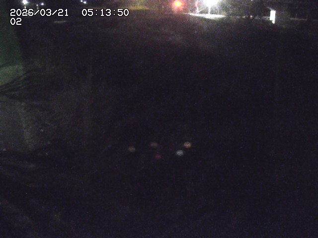 取得できませんでした