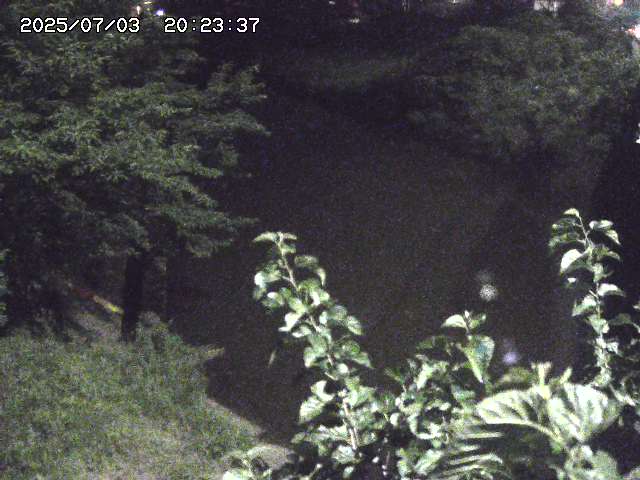 取得できませんでした