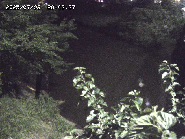 取得できませんでした