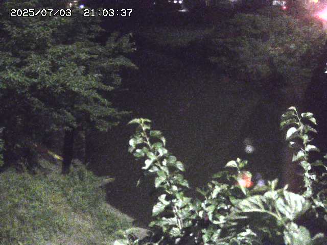 取得できませんでした